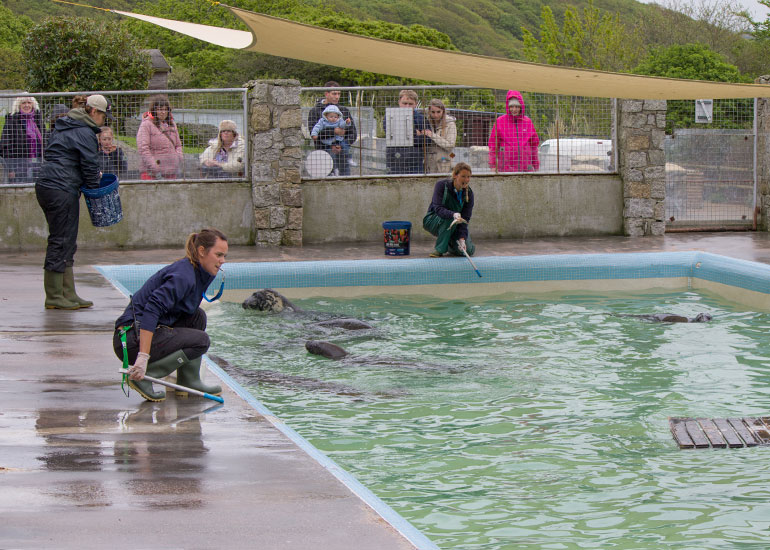 Convalescent pool