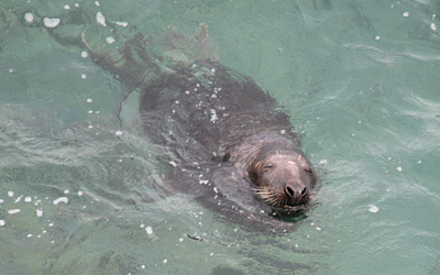 Conservation Blog