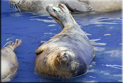 Donner - 10th April 2016