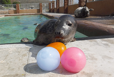 Egg-Citing Easter Training