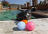 Egg-Citing Easter Training