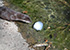 Egg-Citing Easter Training