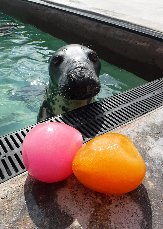 Egg-Citing Easter Training