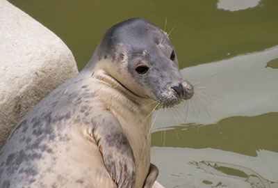 Edwina - Photo taken on 25th April 2015