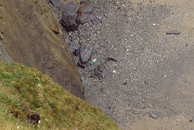 Seal in a Entangelement Net