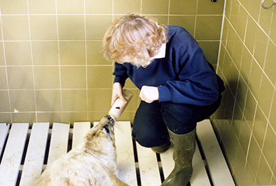 Feeding seal pups in 1992