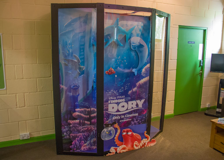 Finding Dory and friends
