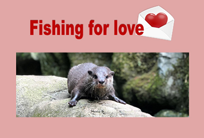 Fishing for Love