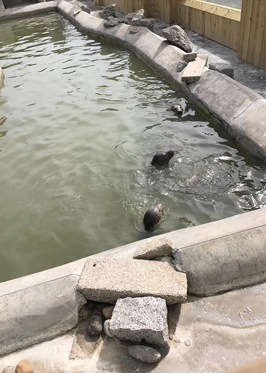 Photo taken by John, Paul, Ruth and Maddie Gore on 25th April 2017