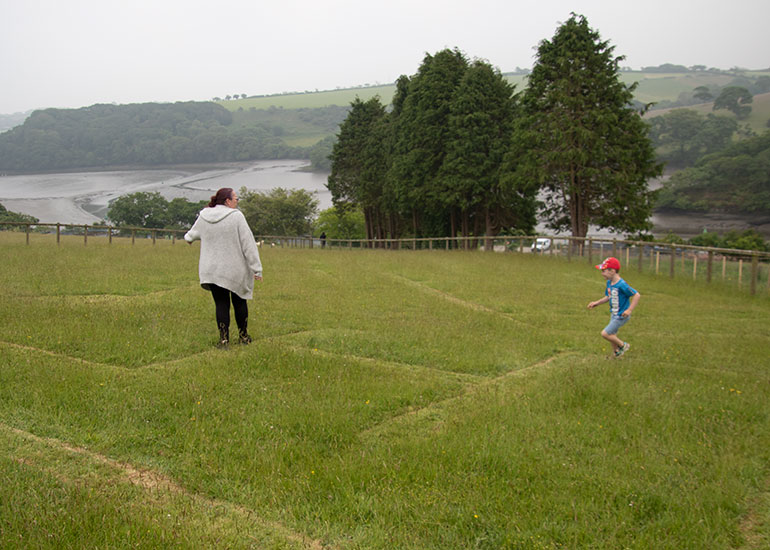 Grass Maze