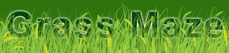 Grass Maze