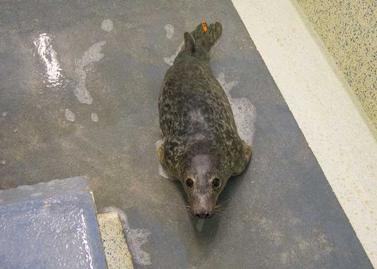 Gravity - 11th April 2014