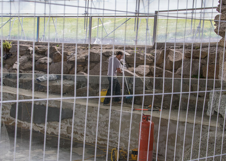 Grey Seal Enclosure