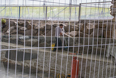 Grey seals enclosure