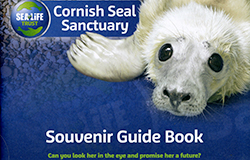 Souvenir Guide Book