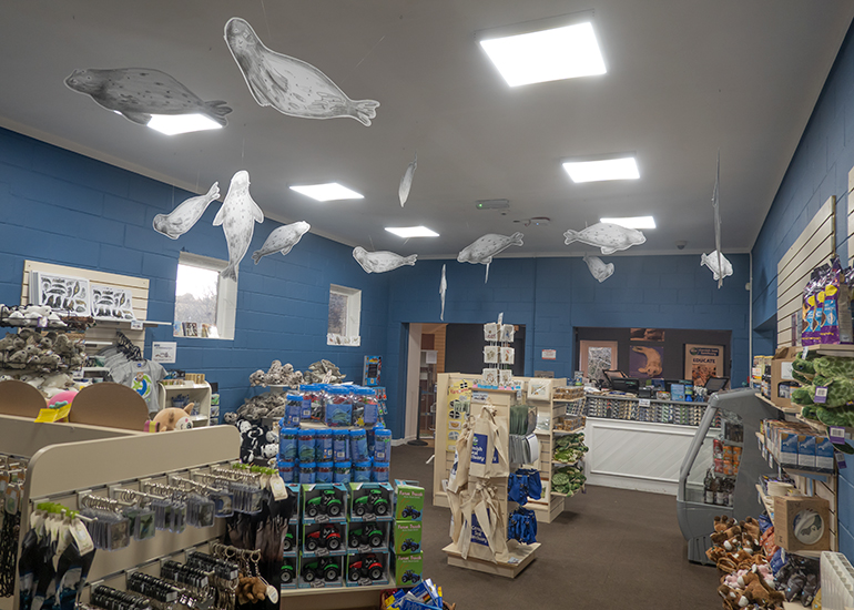 New look shop at the Seal Sanctuary