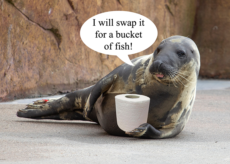 I will swap it for a bucket of fish