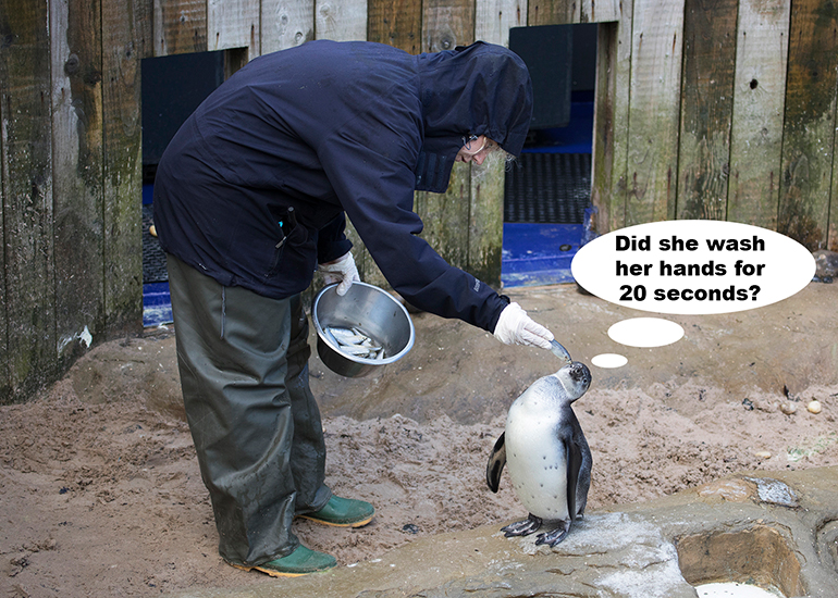 Did she wash her hands for 20 seconds