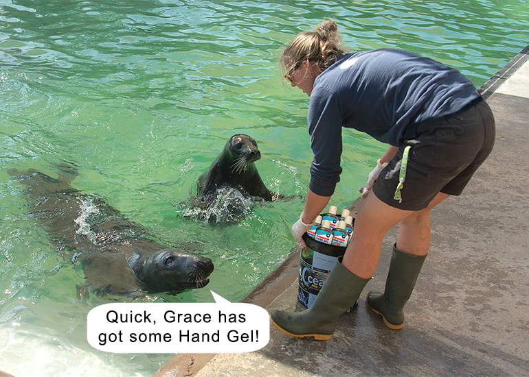 Quick, Grace has got some Hand Gel