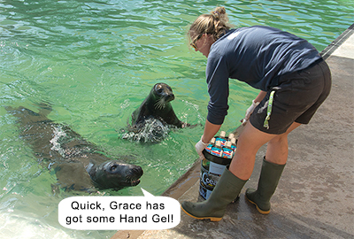 Quick, Grace has got some Hand Gel