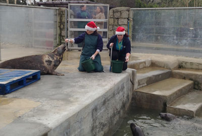 Its not just Santa Working on Christmas Day!