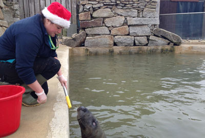 Its not just Santa Working on Christmas Day!