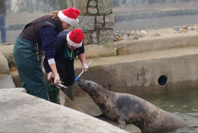 Its not just Santa Working on Christmas Day!