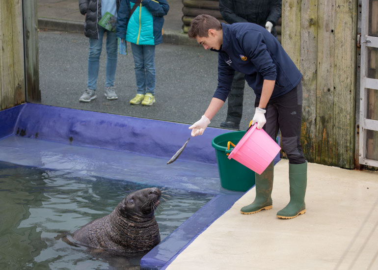 Cornish Seal Sanctuary