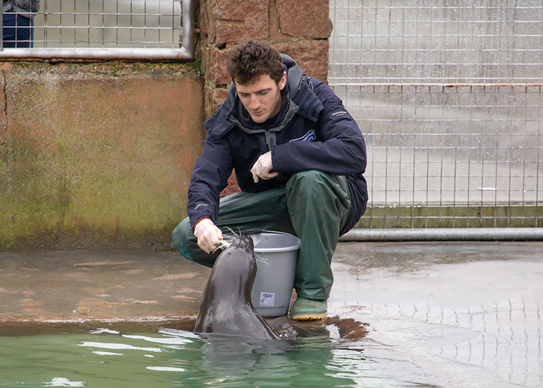 Cornish Seal Sanctuary