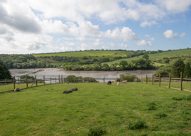 View across the paddocks