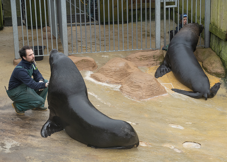 Elliot and Marianne with Diego and Noito, the Patagonian Sea Lions