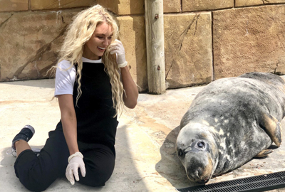 Love Island's Lucie couples up with the Seal Sanctuary