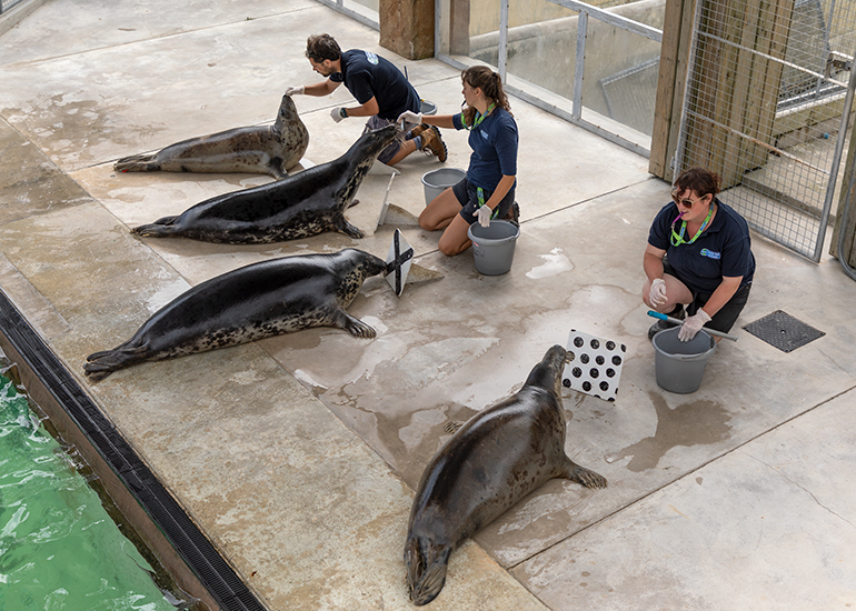 l-r Elliot with Banana, Megan with Aayla and Willow, Emma with Jinx