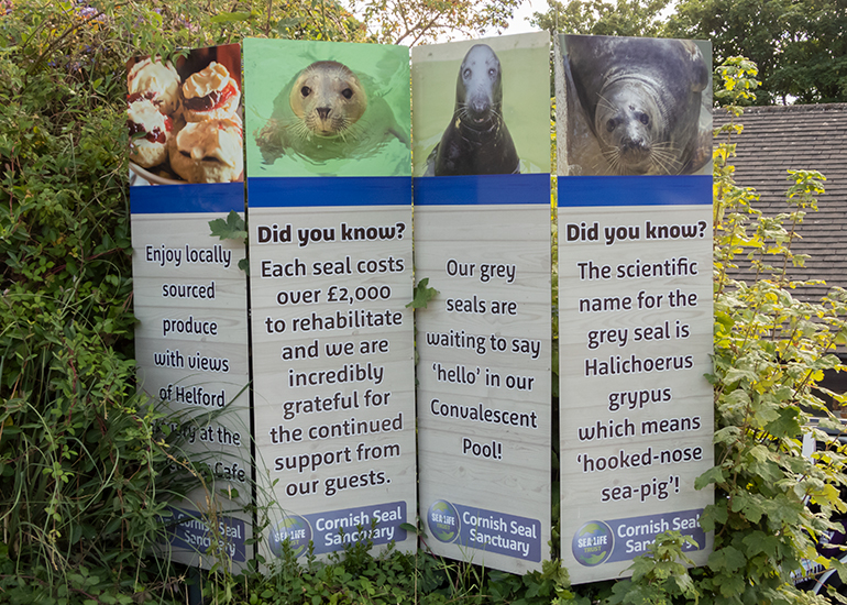 You will see these signs in the car park