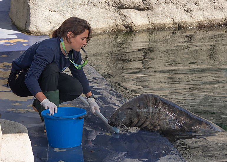 Anne feeding Marlin