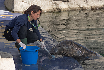 Anne feeding Marlin