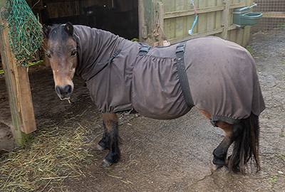 Tuppence with her coat on