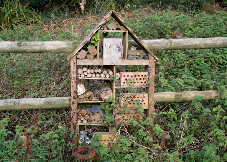 Bug Hotel