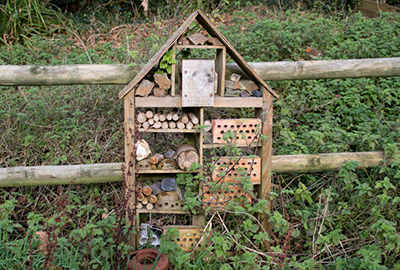 Bugs Hotel