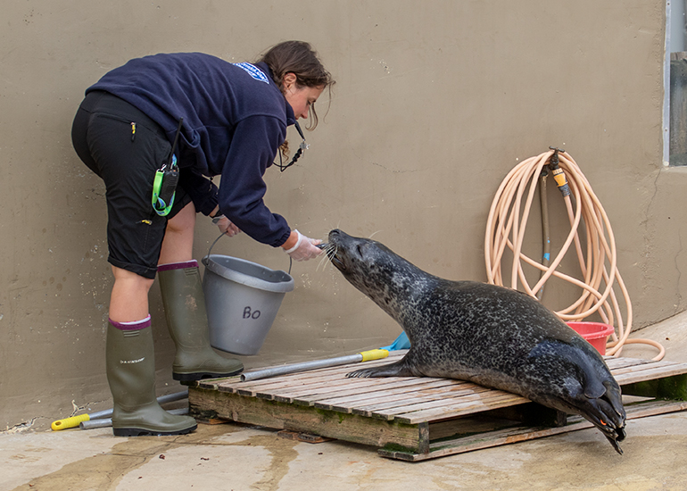 Anne feeding Bo!