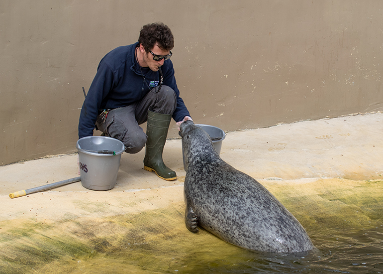 Joe feeding Babyface