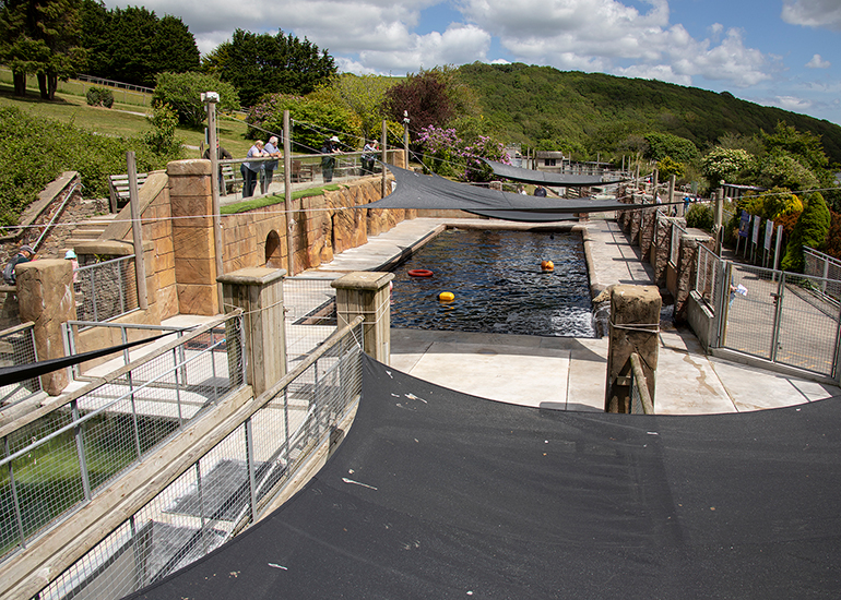 Convalescent Pool