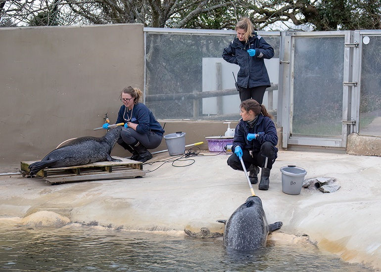 Target Training with Buddy and Babyface