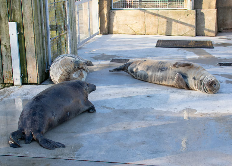 We all love an afternoon nap