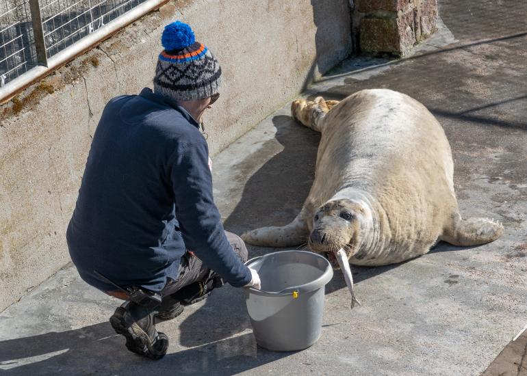Joe feeding Sheba
