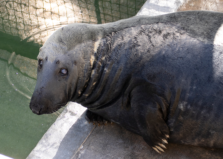 Ray had an operation a few weeks ago...now on the mend!
