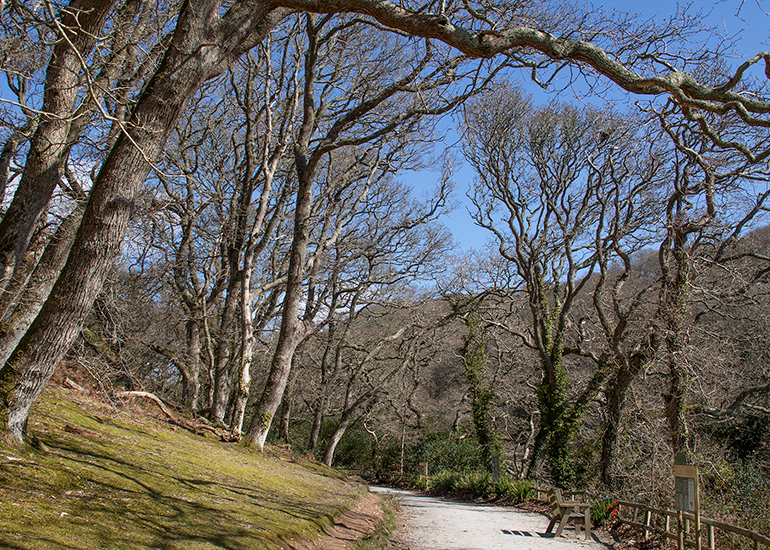 Do love a Spring Walk!