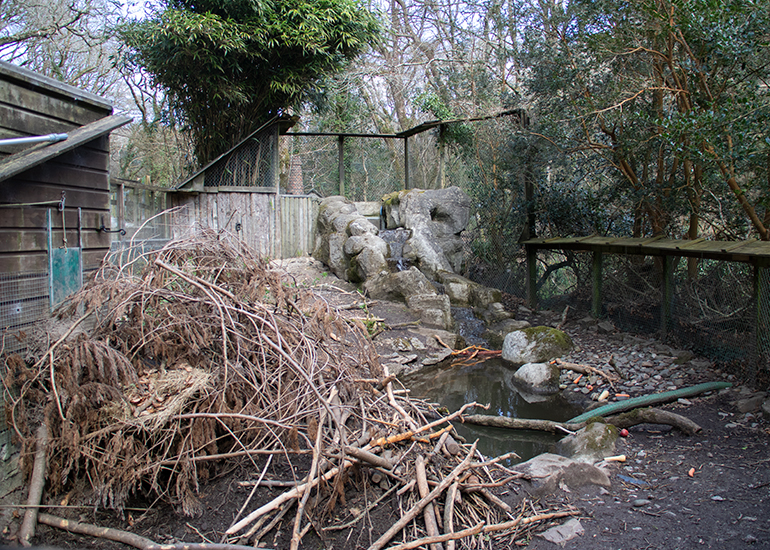 Those naughty beavers have built up so much mud that you cannot shut the hatch to the inside sleeping area!