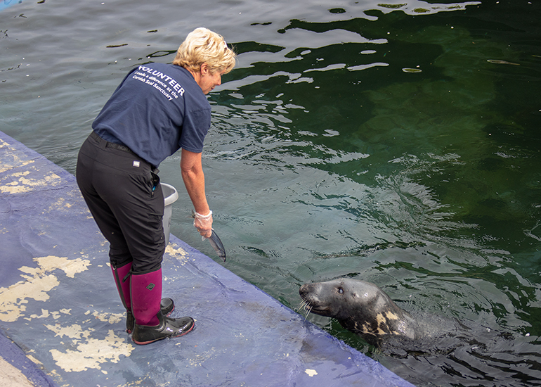 The lovely Alison feeding Ray!