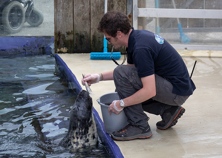 I will just check the fish first